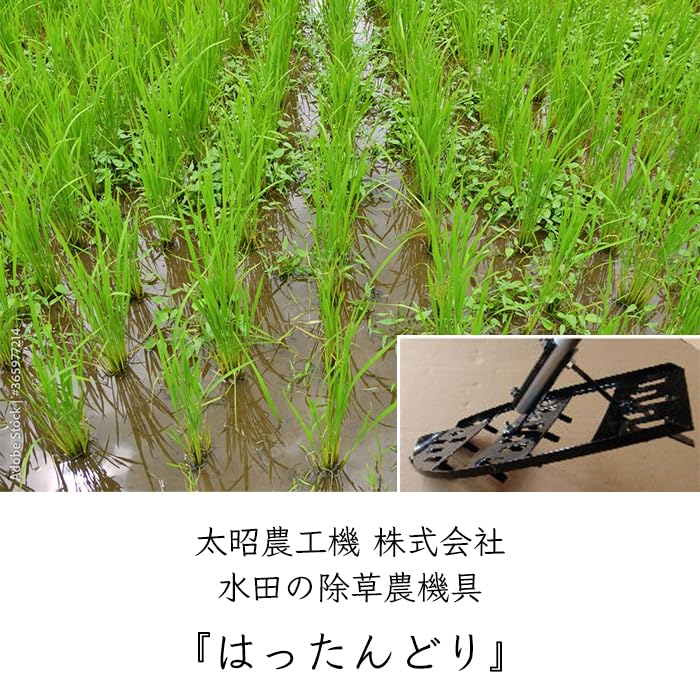 本日終了 田車 手押し式除草機 田んぼ 水田 DIY レトロ アンティーク 本日終了 田車 手押し式除草機 田んぼ 水田 DIY レトロ